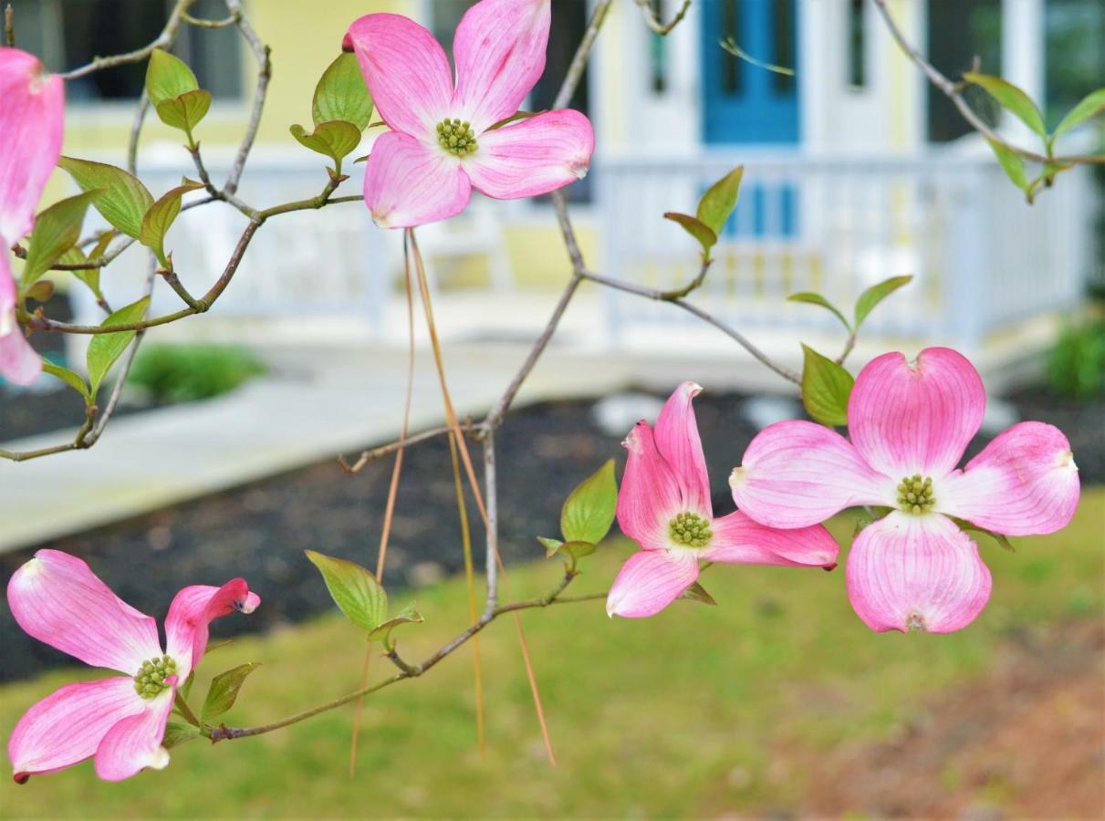 Meris Gardens B&B Bethany Beach Exterior foto