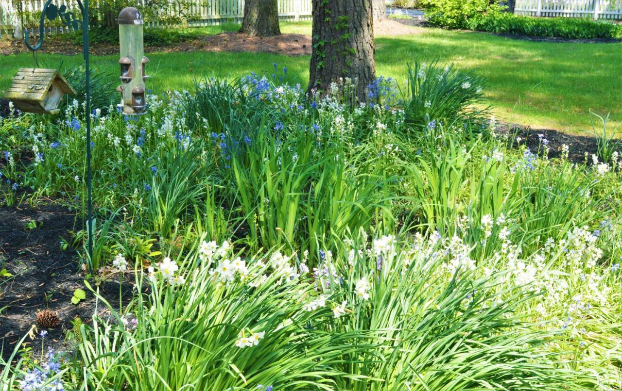 Meris Gardens B&B Bethany Beach Exterior foto